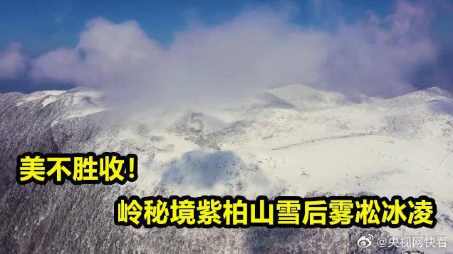 奶牛连连看2