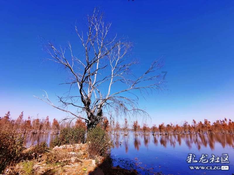 鲜奶可以加热喝吗游戏画面