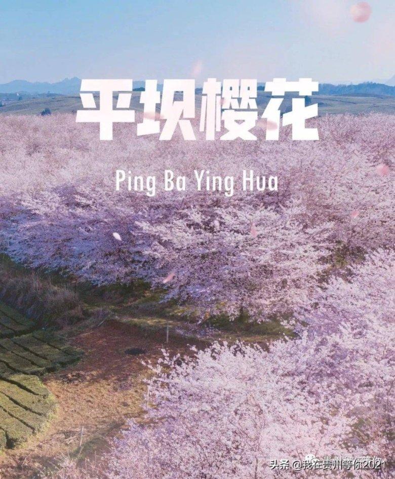 年龄大了已经66啦?能和儿子相处吗游戏画面