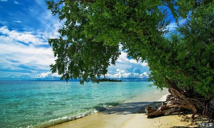 救援深海动物
