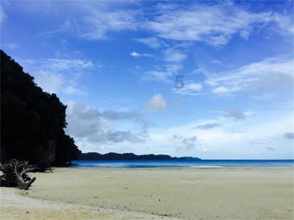 海正药业：博锐生物努力走向资本市场，但需考虑市场环境和监管政策