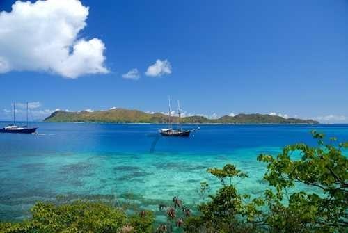 村民清早偶遇呆萌羚牛,与其深情对视