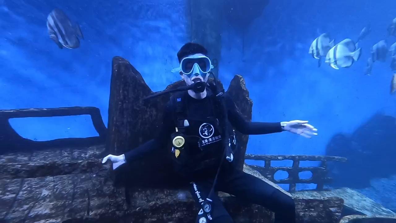 被困的狮王逃生3