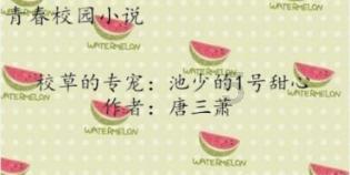 衡翼软组织抗拉强度试验机 硅片剥离强度测试仪 硅钢片涂层剥离强度试验机