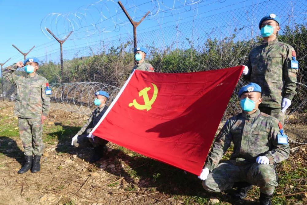 逃出小象森林