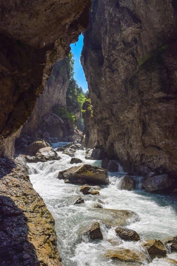 龙腾虎跃、鱼跃龙门,形容词都不够用了,西湖景区龙形花灯出圈