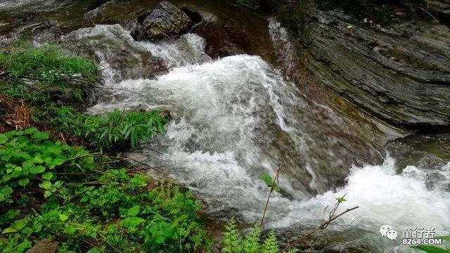 新春走基层 | 致富 “甜” 路