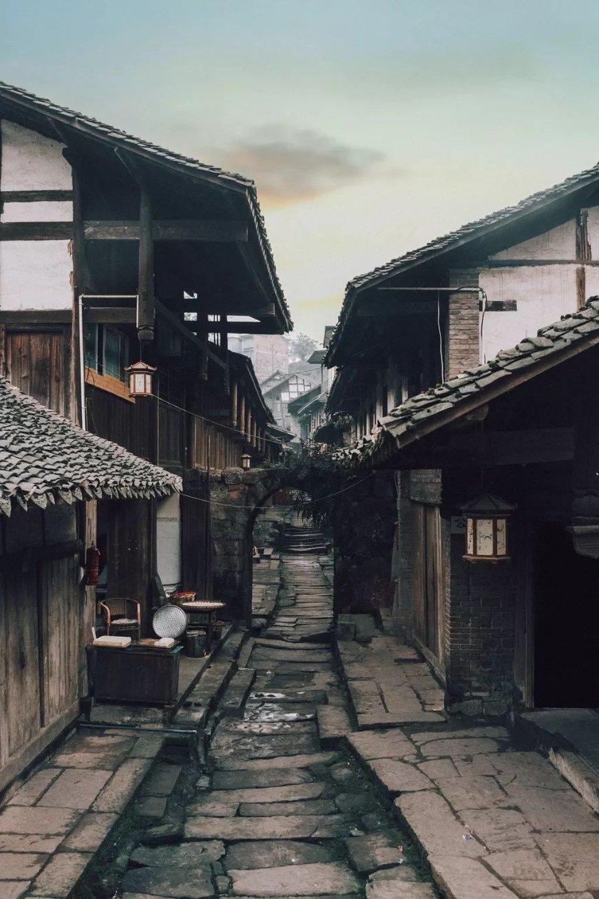 【听，山茶花开的声音】心向远方