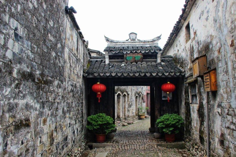 破碎的动物图形3