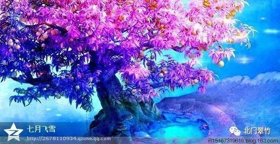 沪江开心词场